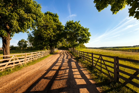 A dirt road lined with trees and wooden fences during the day.